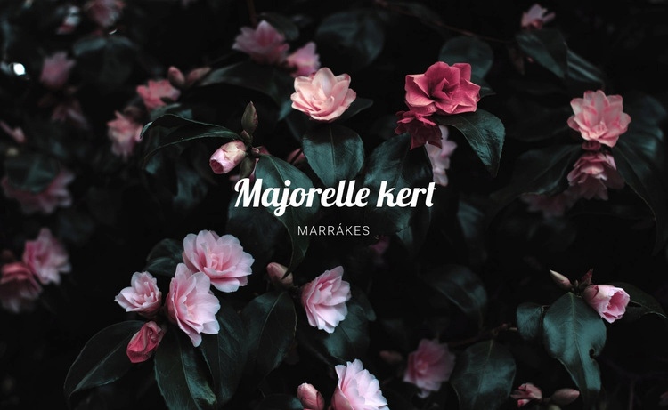 Majorelle kert CSS sablon