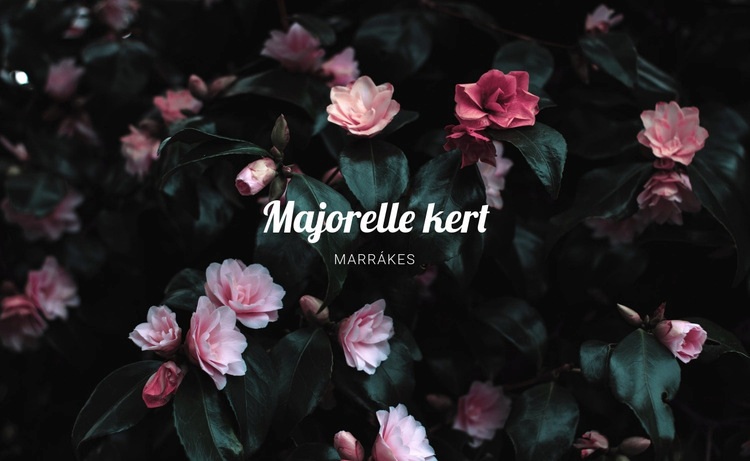 Majorelle kert Weboldal sablon