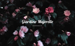 Giardino Majorelle - Ispirazione Per Il Design Del Sito Web