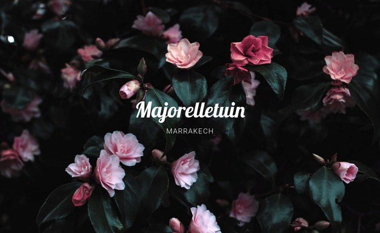 Majorelle-tuin Website ontwerp
