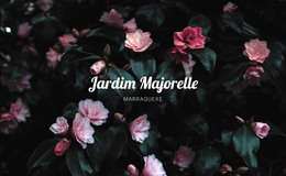 Jardim Majorelle - Modelo De Página HTML
