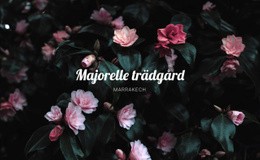 Sidwebbplats För Majorelle Trädgård