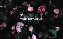 Majorelle Garden Landscaping Website