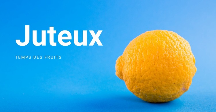 Temps des fruits Conception de site Web