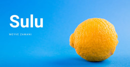 Meyve Zamanı - Şablonlar Web Sitesi Tasarımı