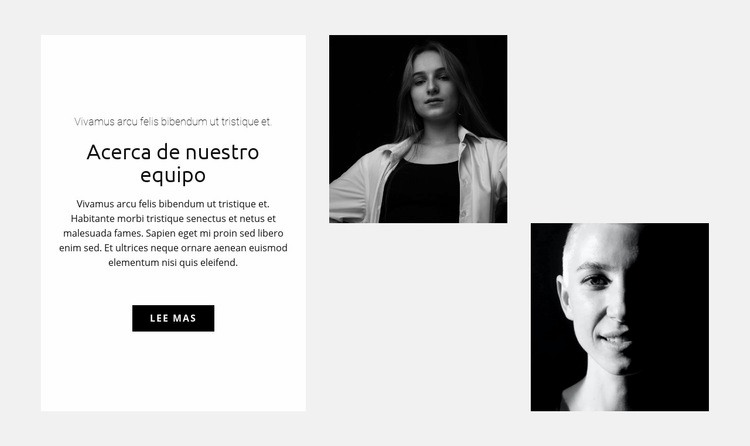 Equipo de chicas Diseño de páginas web