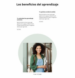 Beneficios Del Aprendizaje - Diseño De Sitios Web Profesionales