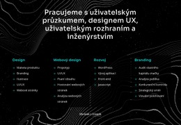 Pracujeme S Uživatelským Průzkumem – Profesionální Šablona Webu