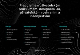 Pracujeme S Uživatelským Průzkumem – Téma WordPress