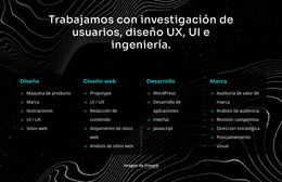 Trabajamos Con La Investigación De Usuarios - Tema De WordPress