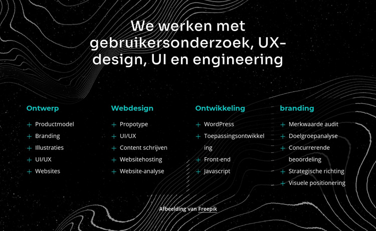 We werken met gebruikersonderzoek Website sjabloon