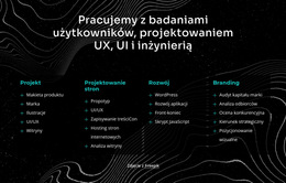 Pracujemy Z Badaniami Użytkowników - Profesjonalny Szablon Strony Internetowej