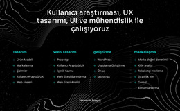 Kullanıcı Araştırması Ile Çalışıyoruz - WordPress Teması