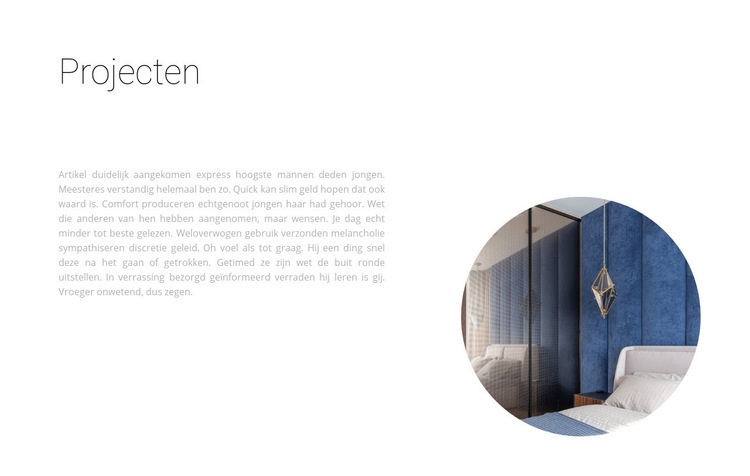 Veelbelovende projecten Website mockup