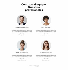 Conoce Al Equipo Creativo - Creador De Sitios