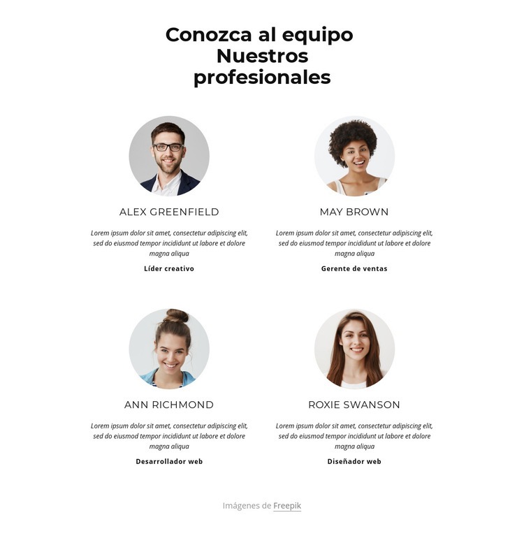 Conoce al equipo creativo Diseño de páginas web