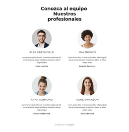 Conoce Al Equipo Creativo - Tema Profesional De WordPress