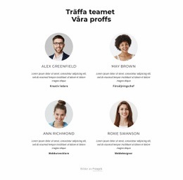 Möt Det Kreativa Teamet - Skapa Vackra Mallar