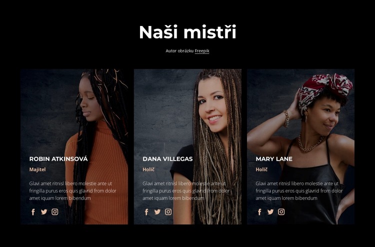 Mistři kosmetických salonů Šablona CSS