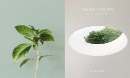 Eco Groen Atelier Begin Met Verkopen