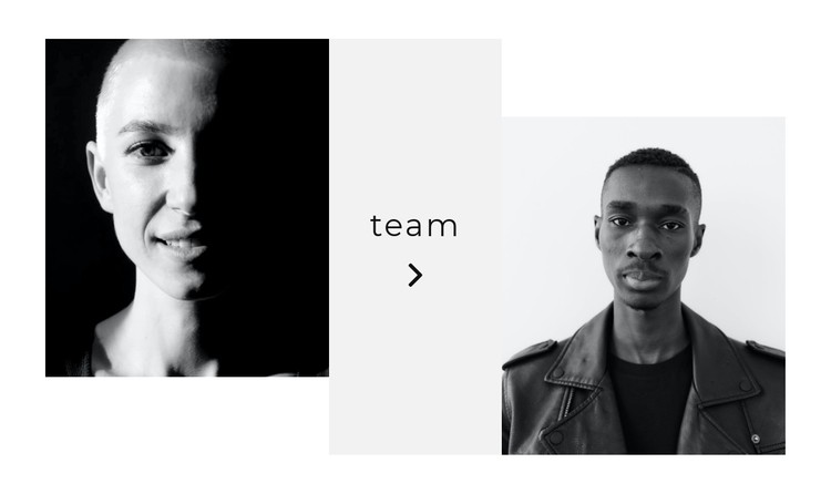 Zie het hele team CSS-sjabloon