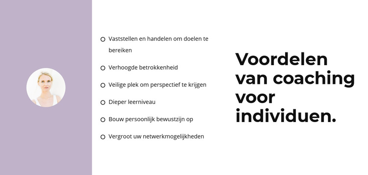 Lijst van onze voordelen WordPress-thema