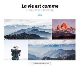 Conception De Sites Web Polyvalents Pour La Vie Est Comme