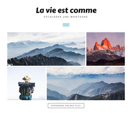 Site WordPress Pour La Vie Est Comme