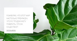 Инновации И Творчество – Вдохновение Для Дизайна Веб-Сайта