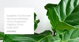 Инновации И Творчество – Шаблоны Веб-Сайтов