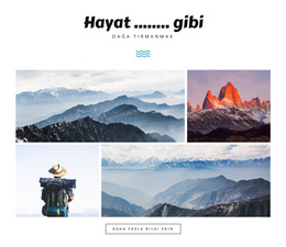 Hayat ........ Gibi - Yerleşik Cms Işlevi