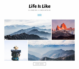 Multipurpose Website Design For Life Is Like
