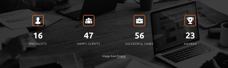 Company achievements design Website Design
