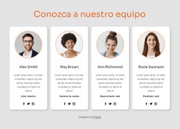 Conoce A Nuestro Gran Equipo #Templates-Es-Seo-One-Item-Suffix