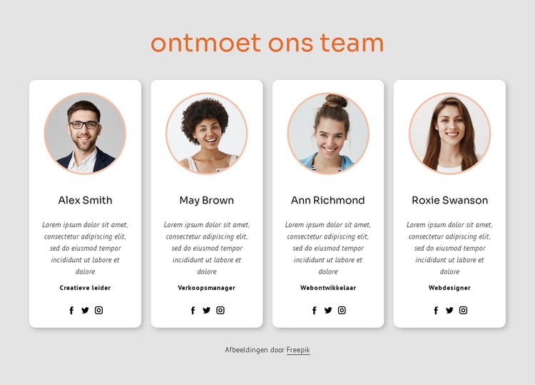 Maak kennis met ons grote team Website mockup