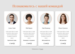 Многоцелевая Тема WordPress Для Познакомьтесь С Нашей Большой Командой