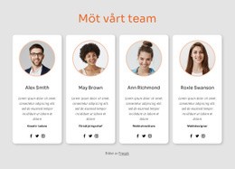 Möt Vårt Stora Team