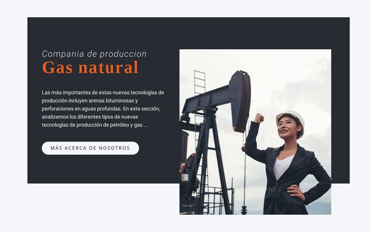 Compania de produccion Maqueta de sitio web