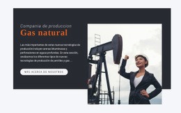 Compania De Produccion Plantilla De Una Página