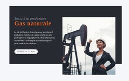 Generatore Di Siti Web Multiuso Per Società Di Produzione