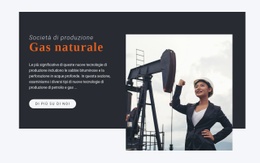 Società Di Produzione - Prototipo Del Sito Web