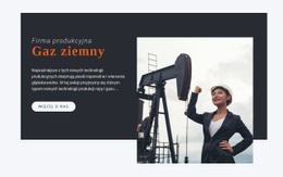 Ekskluzywny Projekt Strony Internetowej Dla Firma Produkcyjna
