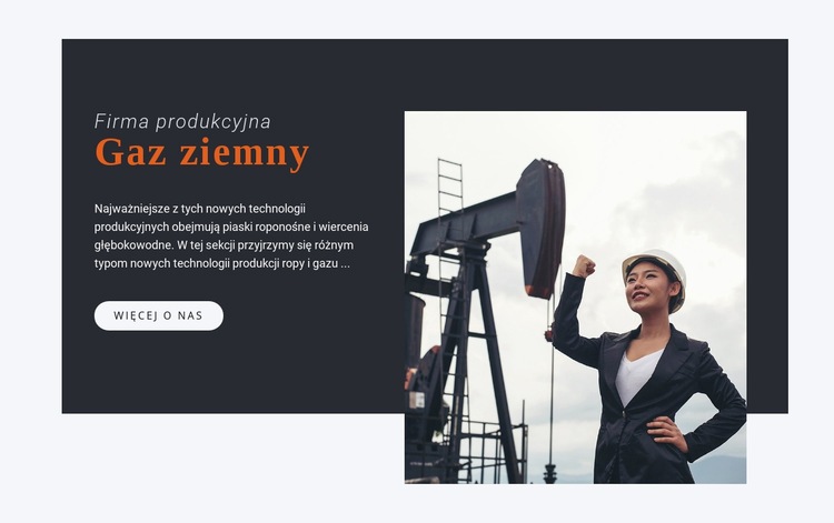 Firma produkcyjna Szablon CSS