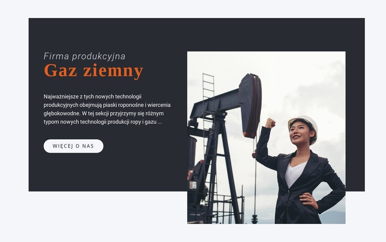 Firma produkcyjna Szablon