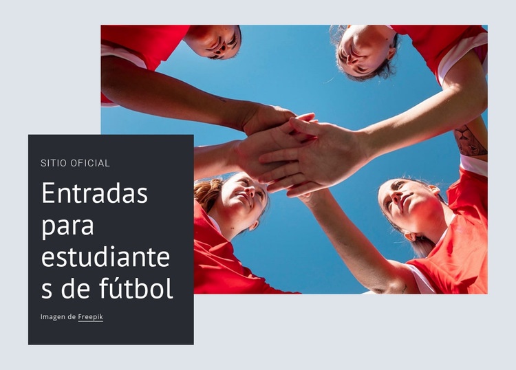 Entradas para estudiantes de fútbol Maqueta de sitio web