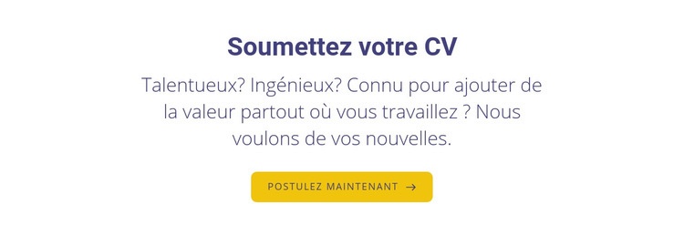 Soumettez votre curriculum vitae Maquette de site Web