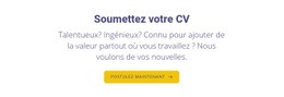 Soumettez Votre Curriculum Vitae