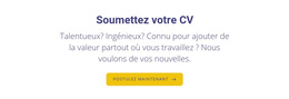 Soumettez Votre Curriculum Vitae