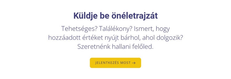 Küldje be önéletrajzát Sablon