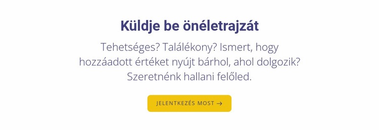 Küldje be önéletrajzát Weboldal sablon